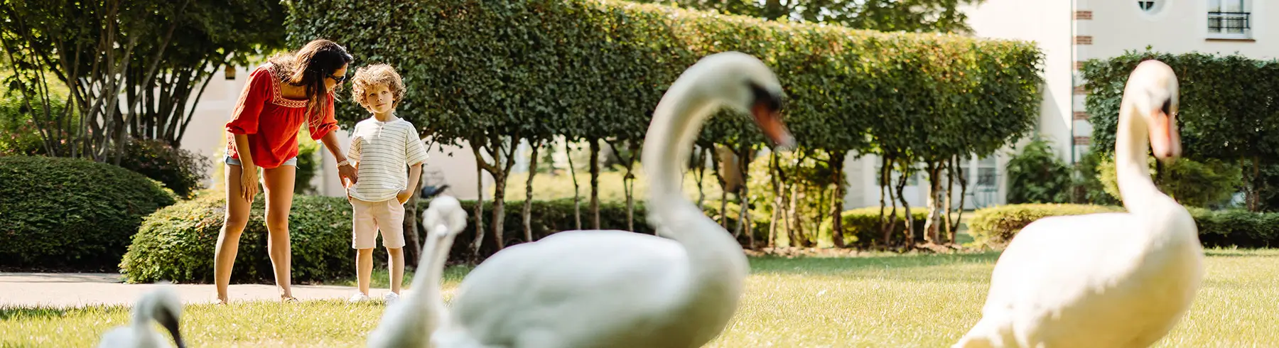 A mother and her son enjoying nature and swans in a park setting.